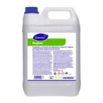 RUGBEE LIMPIADOR DE ALFOMBRAS X 5 LITROS