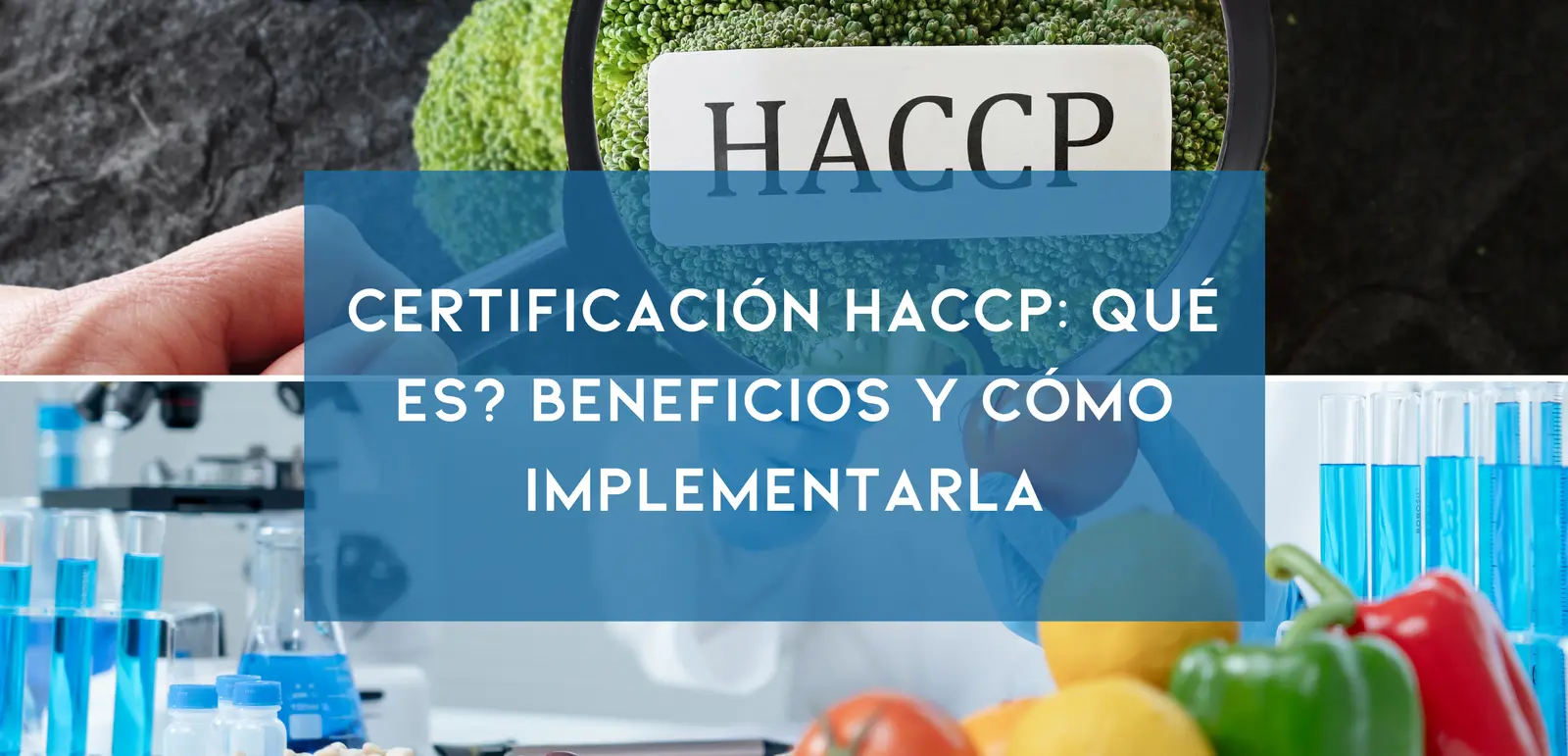 Descubre qué es la certificación HACCP, sus beneficios y cómo implementarla en tu empresa alimentaria para garantizar la seguridad de los alimentos.