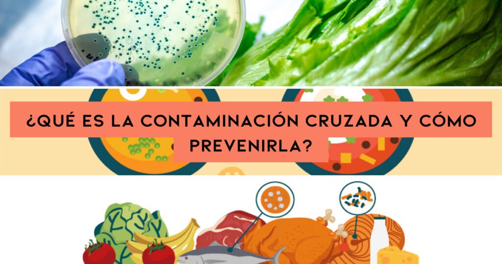 ¿Qué es la Contaminación Cruzada y Cómo Prevenirla?