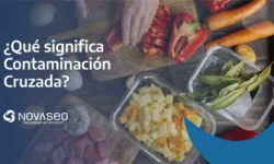 La Guía Definitiva de Inocuidad para Restaurantes ¿Qué Significa Contaminación Cruzada y Cómo los Códigos de Colores Pueden Salvar tu Cocina